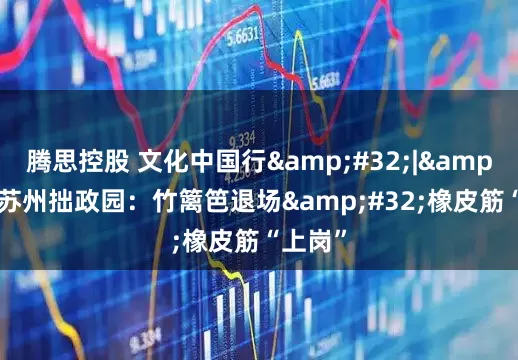 腾思控股 文化中国行 | 苏州拙政园：竹篱笆退场 橡皮筋“上岗”